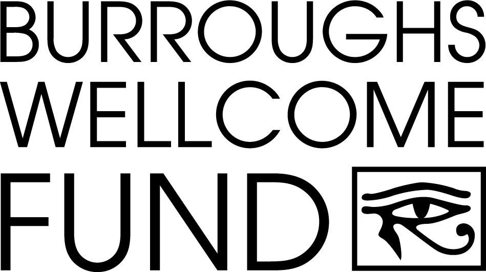 A silhouette of a cat sitting on its hind legs, facing left, with its tail curved downward and ears pointed upright—evoking the secrecy of Operation Outbreak—set against a plain, unadorned background.