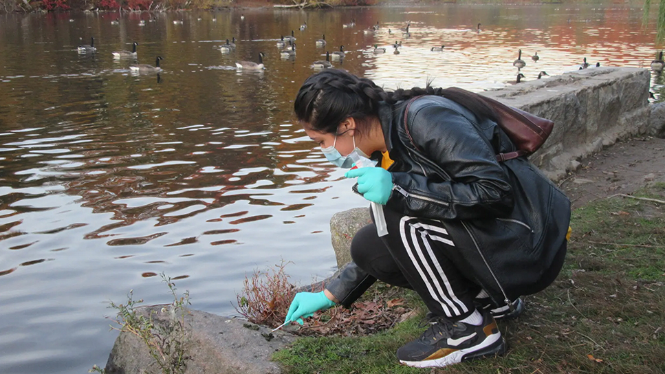 A person wearing gloves and a mask crouches by a pond, collecting a water sample with a syringe. There are ducks in the water and autumn trees in the background.