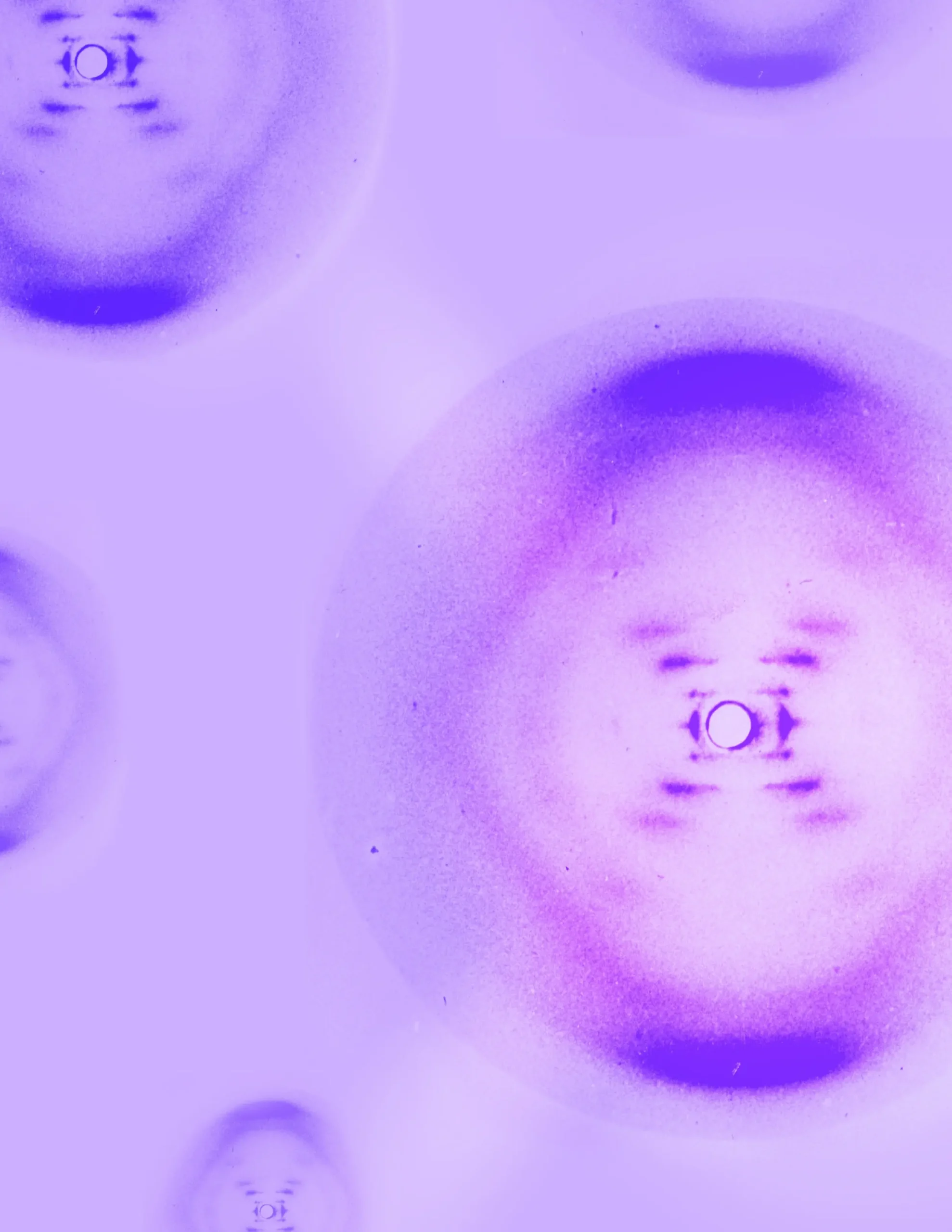 Abstract purple image featuring circular patterns with concentric rings and blurred, radiating lines, evoking microscopic imagery reminiscent of Operation Outbreak visuals on a soft, pastel background.