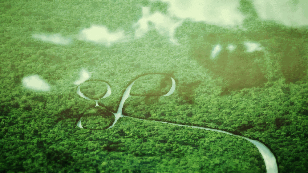 Aerial view of the Ebola River winding through dense rainforest